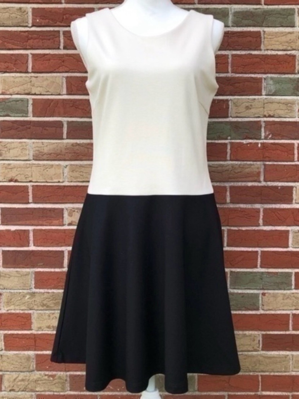 Buckley K Color Block NWT Black White Sleeveless Fit & Flare Mini Dress 👗